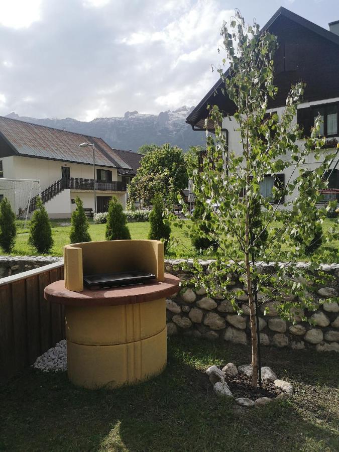 Apartment Alpin בובק מראה חיצוני תמונה